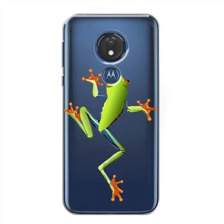 Etui na telefon Motorola G7 Power - Zielona żabka.