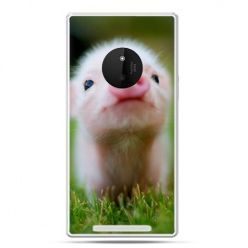 Etui na Lumia 830 świnka