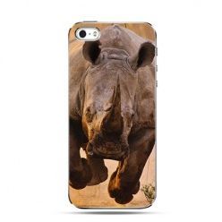 Etui biegnący nosorożec iPhone 5 , 5s