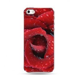 Etui róża czerwona iPhone 5 , 5s