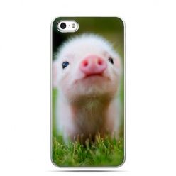 iPhone 6 etui na telefon świnka
